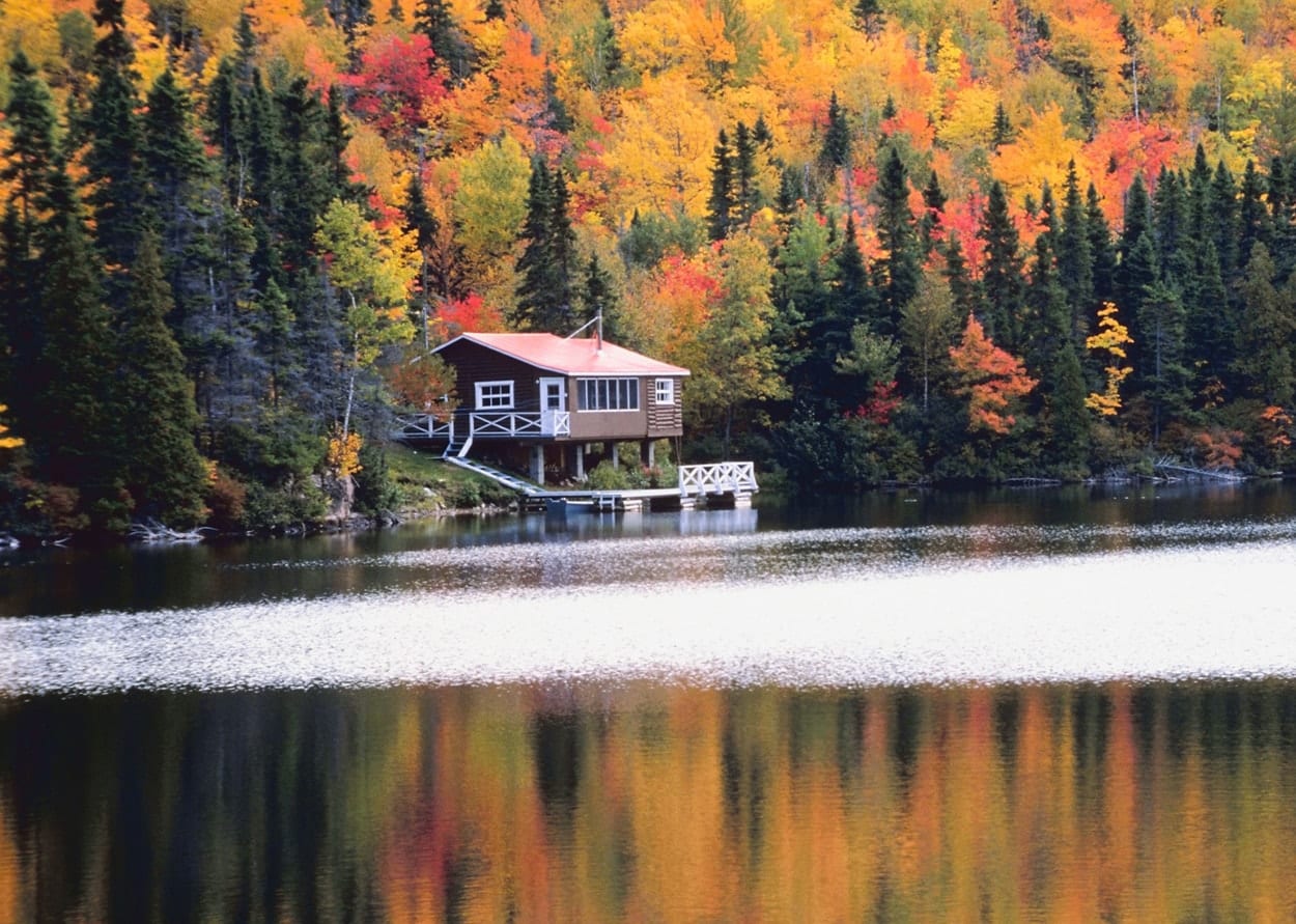 Autumn Cabin: Samantha Brown