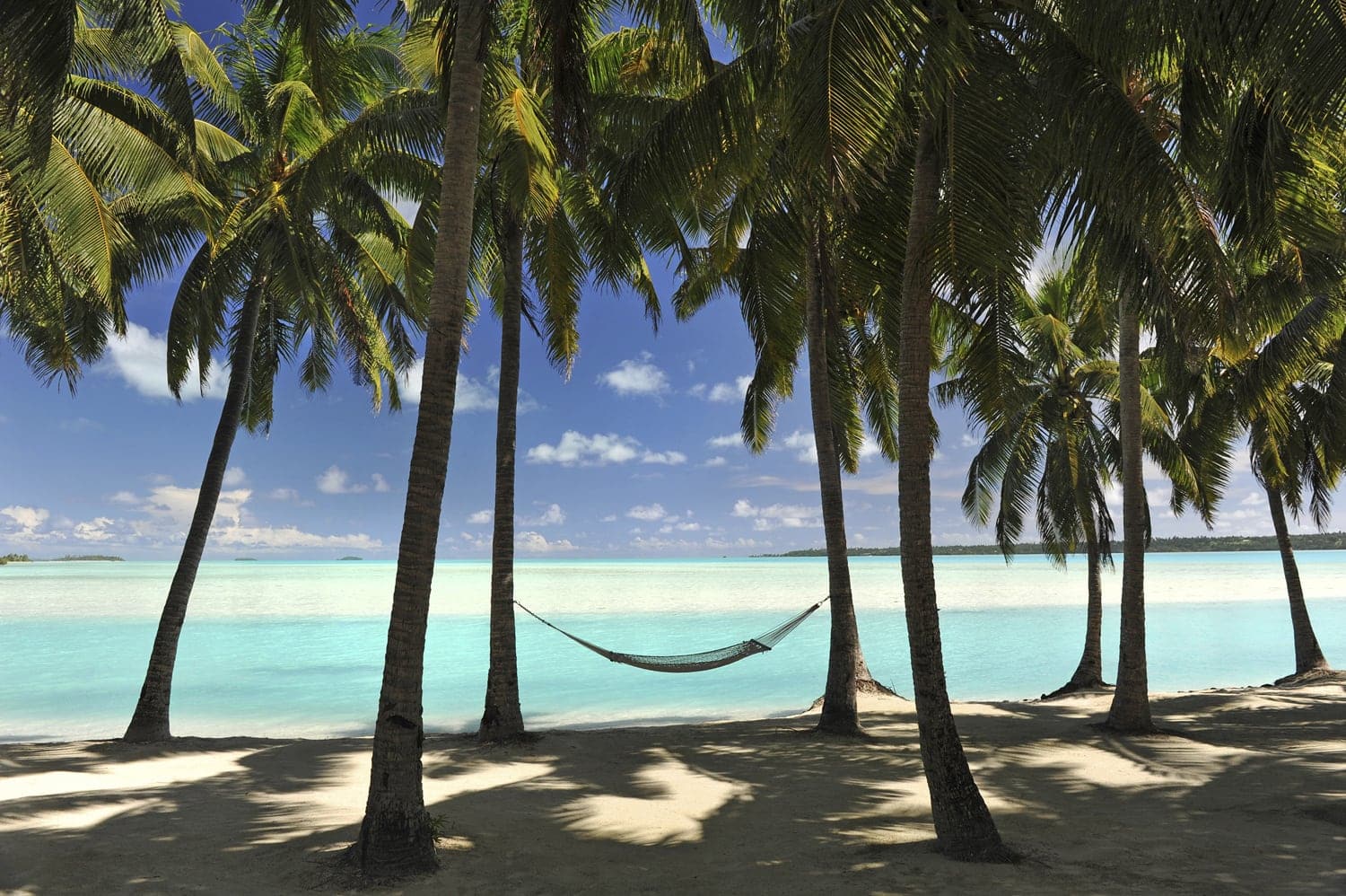Taking a nap in a hammock by the shore