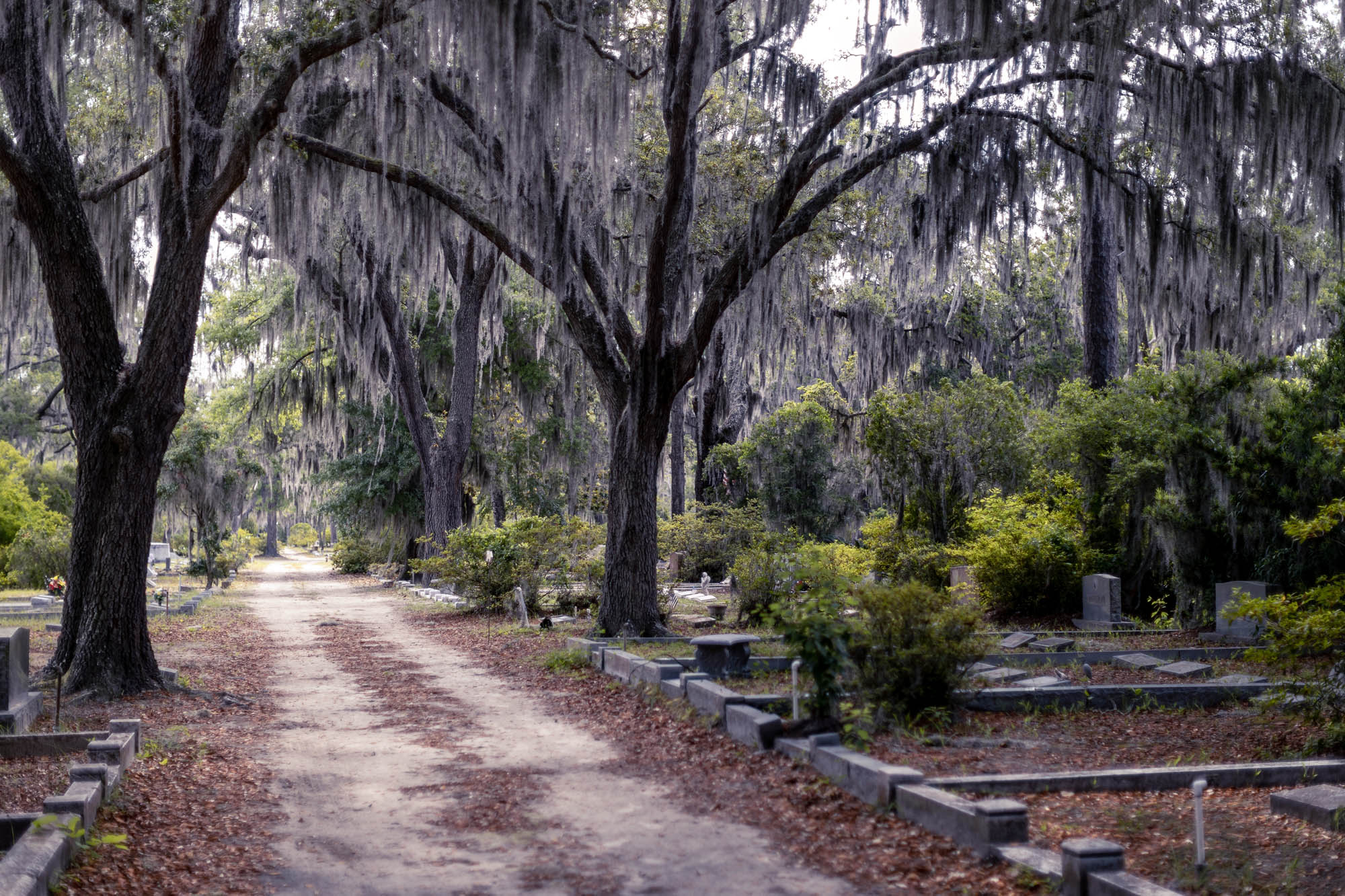 savannah, georgia - most haunted places in america