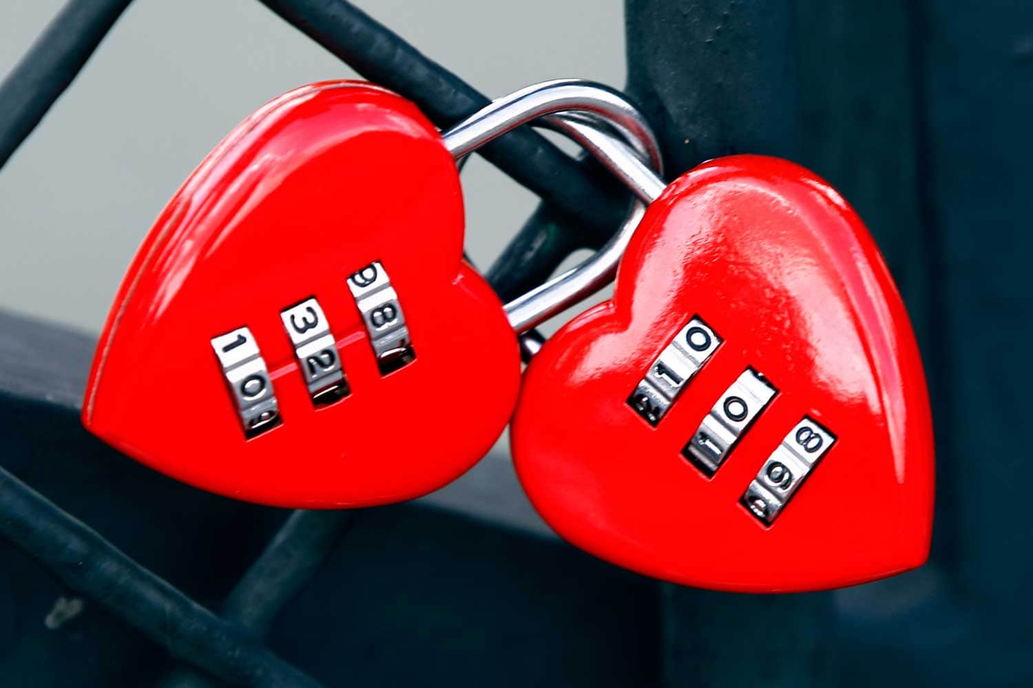 Samantha Brown Valentines Day