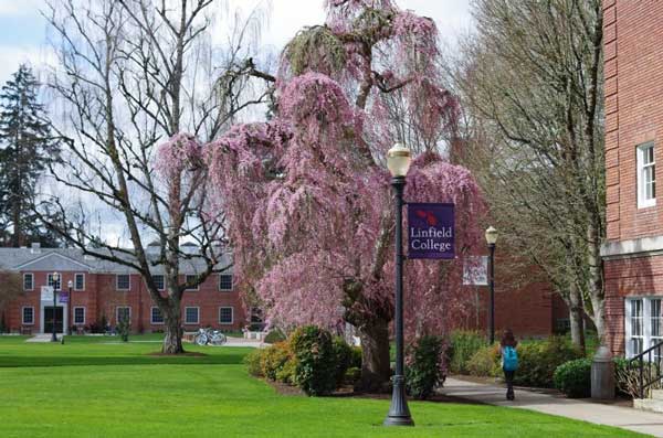 Linfield College - springtime celebrations