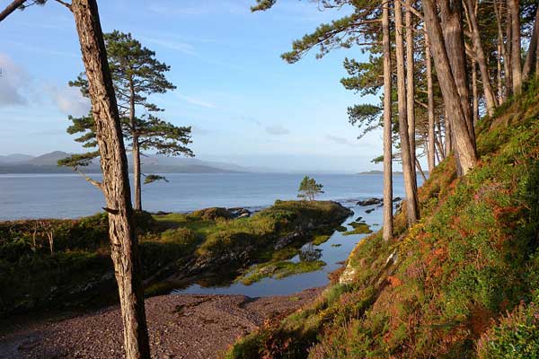 Ring of Kerry Coastal