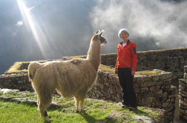 Samantha-Brown-Llama