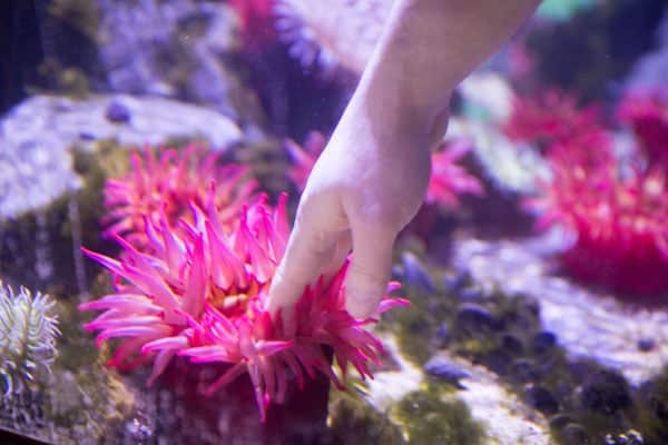 010_Minnocoata_mall_of_america