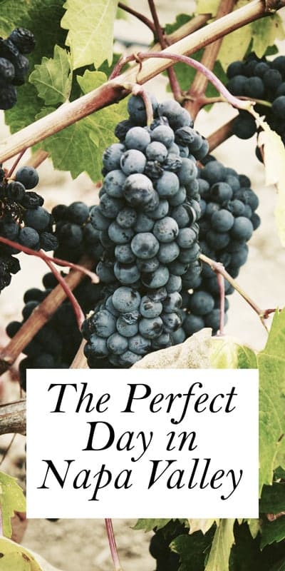 Napa is famous for world-class dining that delivers locally grown, Northern California cuisine that can only be had in this part of the country. Add in the most spectacular wines in the country, beautiful vistas and lovely weather, and poof! Vacation perfection!