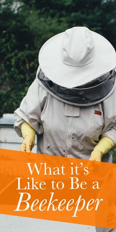 When I heard I was going to be a beekeeper for a day, I was scared out of my wits. Thankfully, beekeeper Ted Dennard gently guided me through the process.