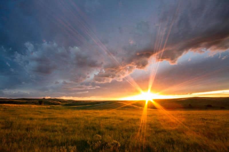 Theodore Roosevelt National Park may not be a well-known park, but it certainly offers an irresistibly rugged and—dare I say—wild side.