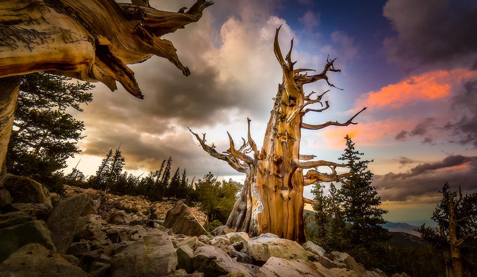 Great Basin National Park - Nevada