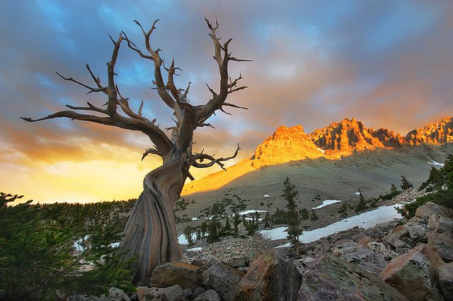 Great Basin National Park - Nevada