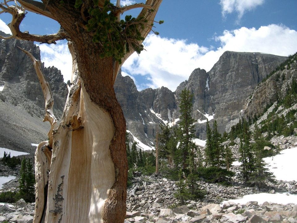 Fall in Love with Great Basin National Park