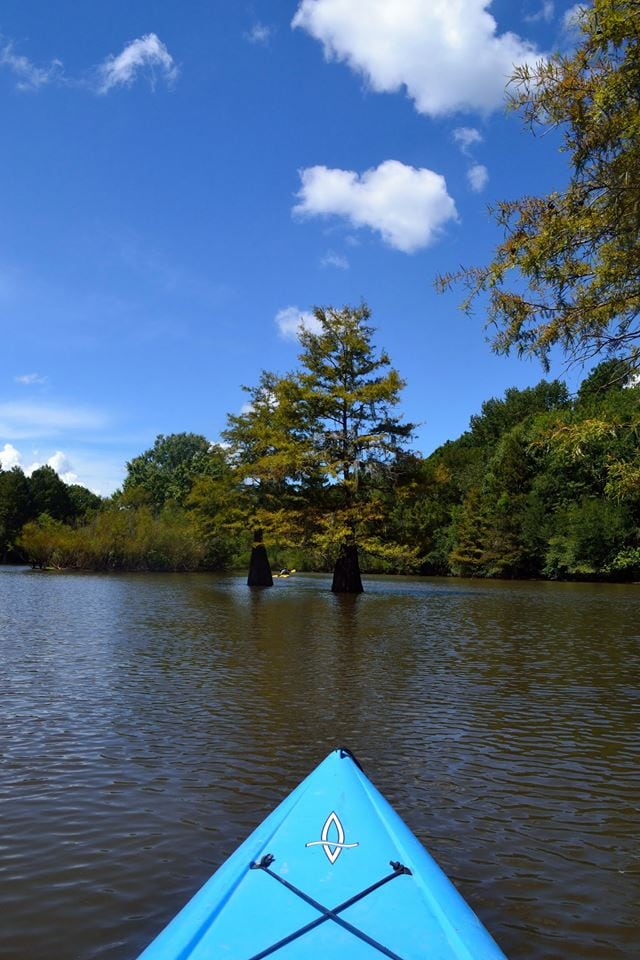 Love canoeing, kayaking and hiking? Here's why you should swipe right on South Carolina's Congaree National Park.