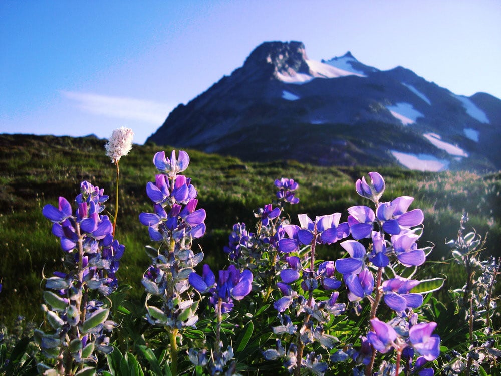 Northwest Washington’s North Cascades National Park, aka the American Alps.
