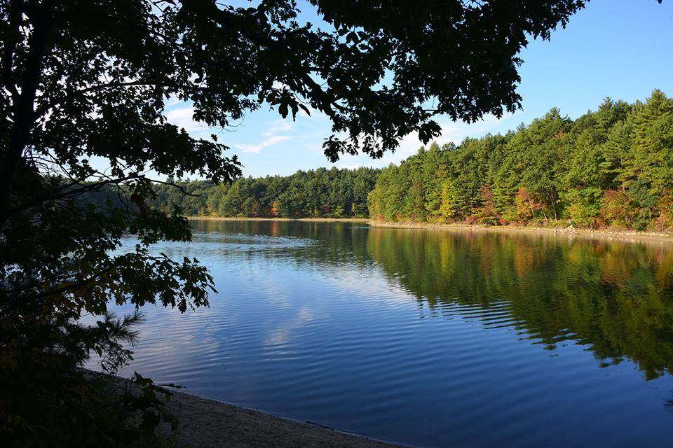 walden pond - picnic