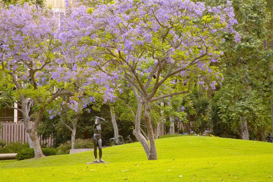 8 sculpture gardens you have to see to believe