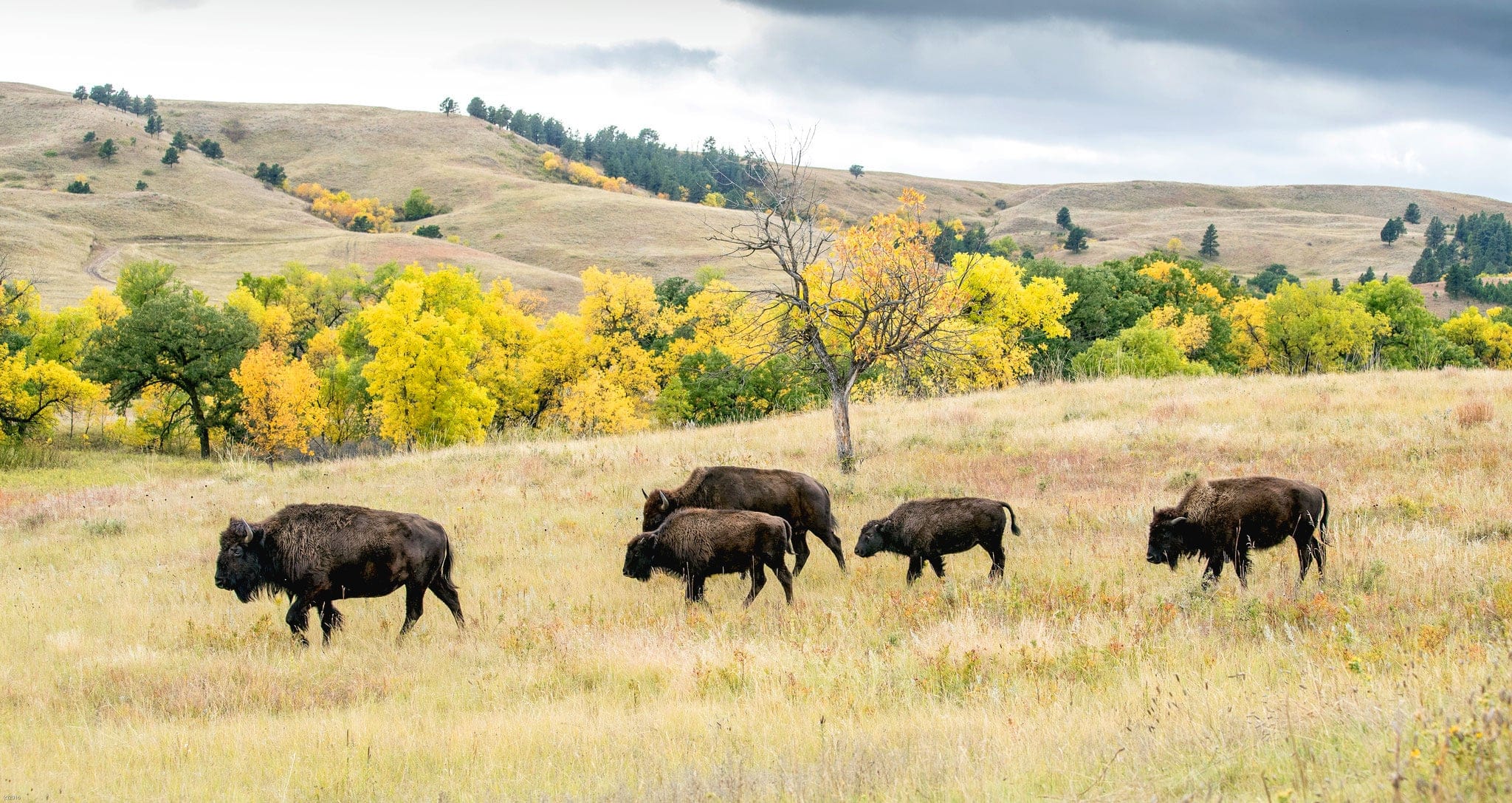 4 Unexpected places to see the fall colors