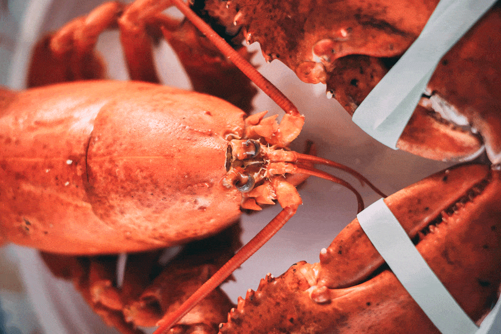 Maine - Spring destination