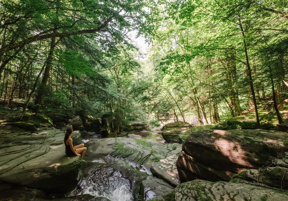 the catskills - samantha brown