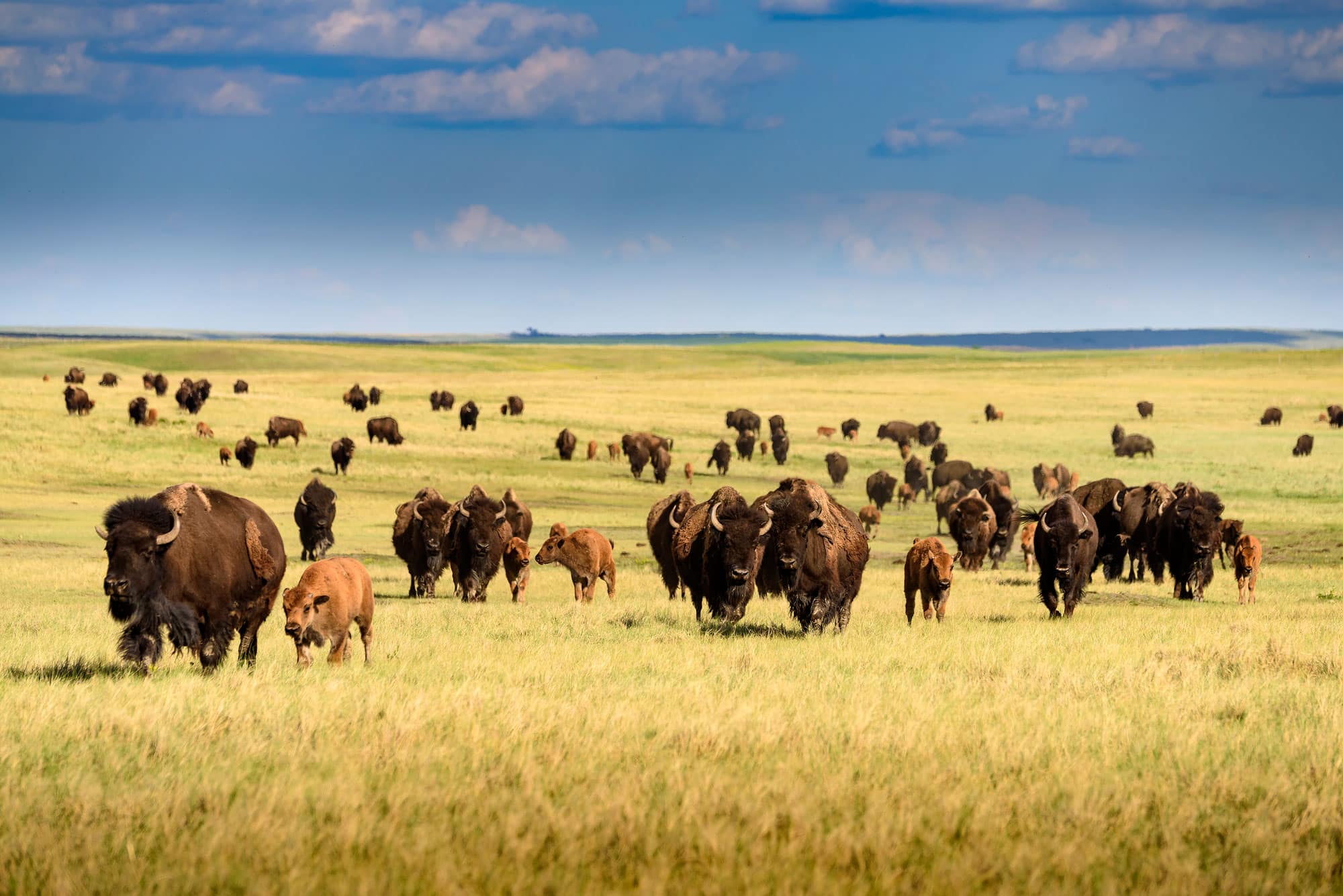 South Dakota’s western region delivers on its promise as one of America’s most epic road trip destinations.