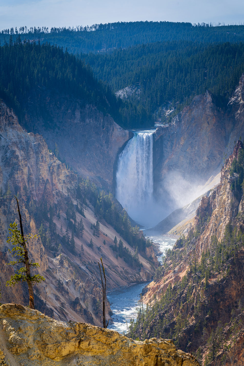 A Local's Guide to Yellowstone National Park