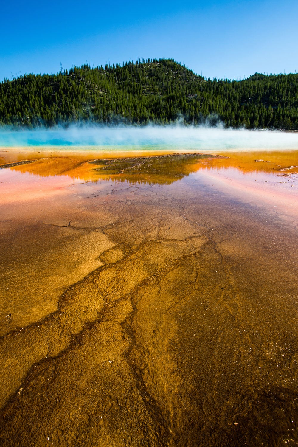 A Local's Guide to Yellowstone National Park