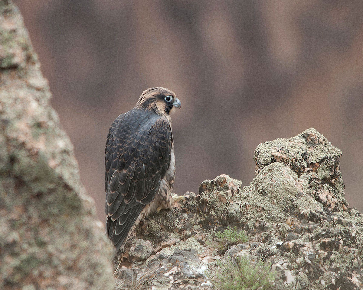 black canyon of the gunnison national park
