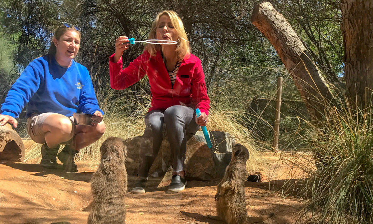 living desert zoo - charitable giving