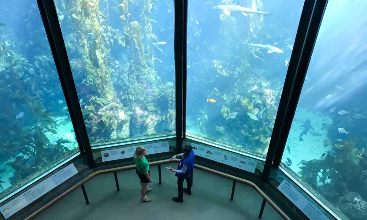 monterrey bay - charitable giving