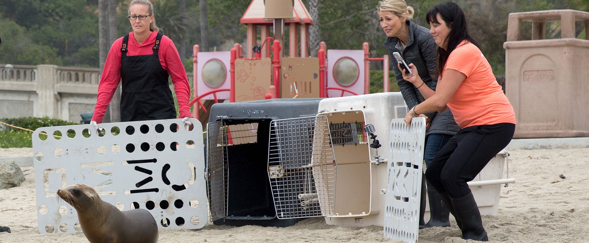 pacific marine mammal - charitable giving