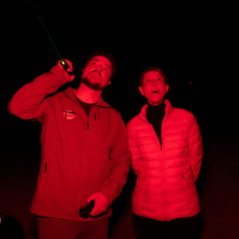 Everything You Need to Know About Noctourism