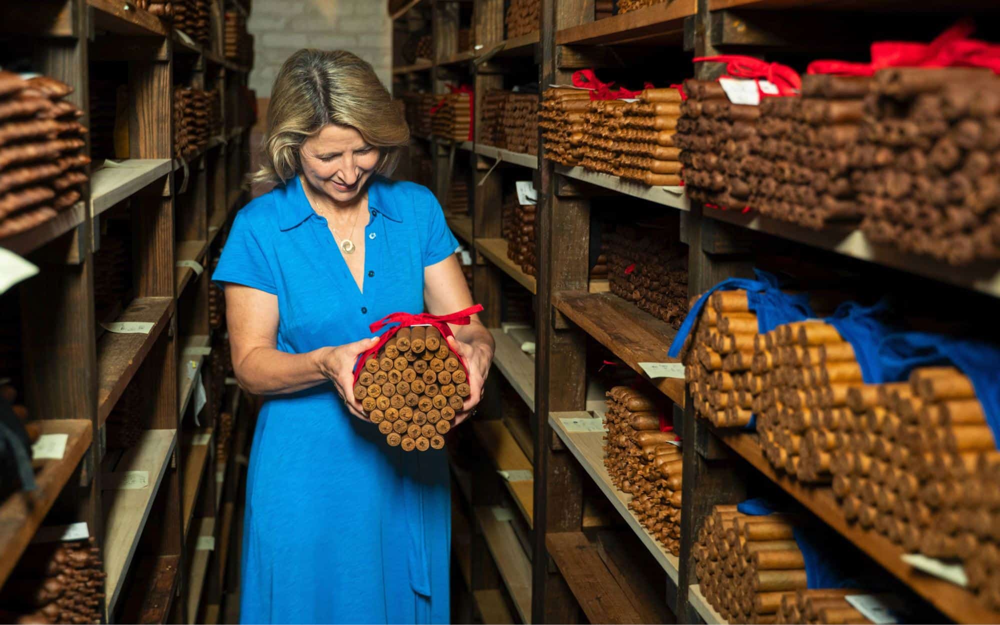 Motel Safari New Mexico