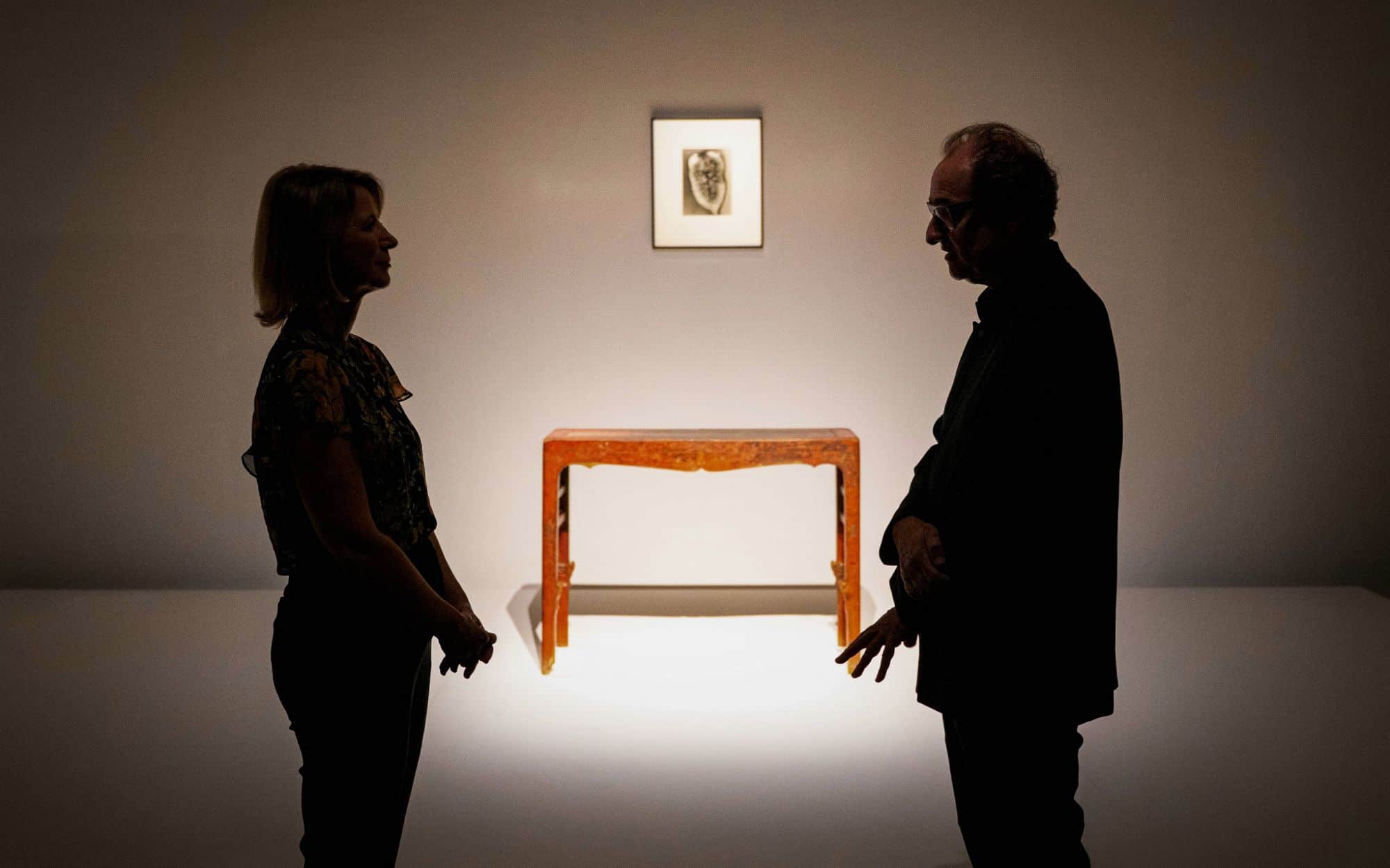 Motel Safari New Mexico