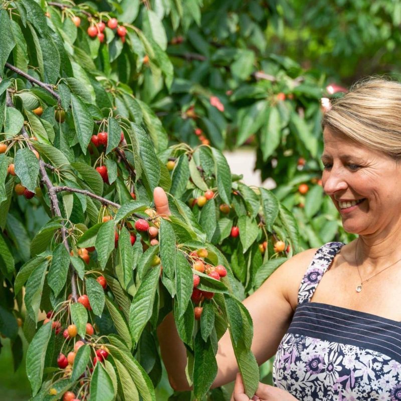 How to Spend a Scenic Weekend in Traverse City