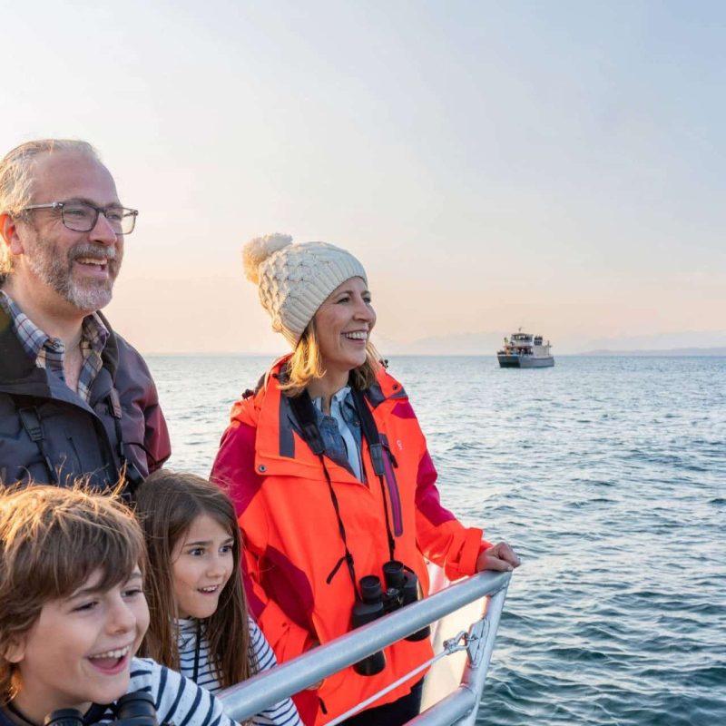 Wave Season: When to Book Your Cruise